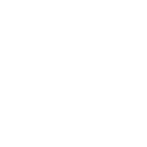 SEAN GALLAGHER. (1)